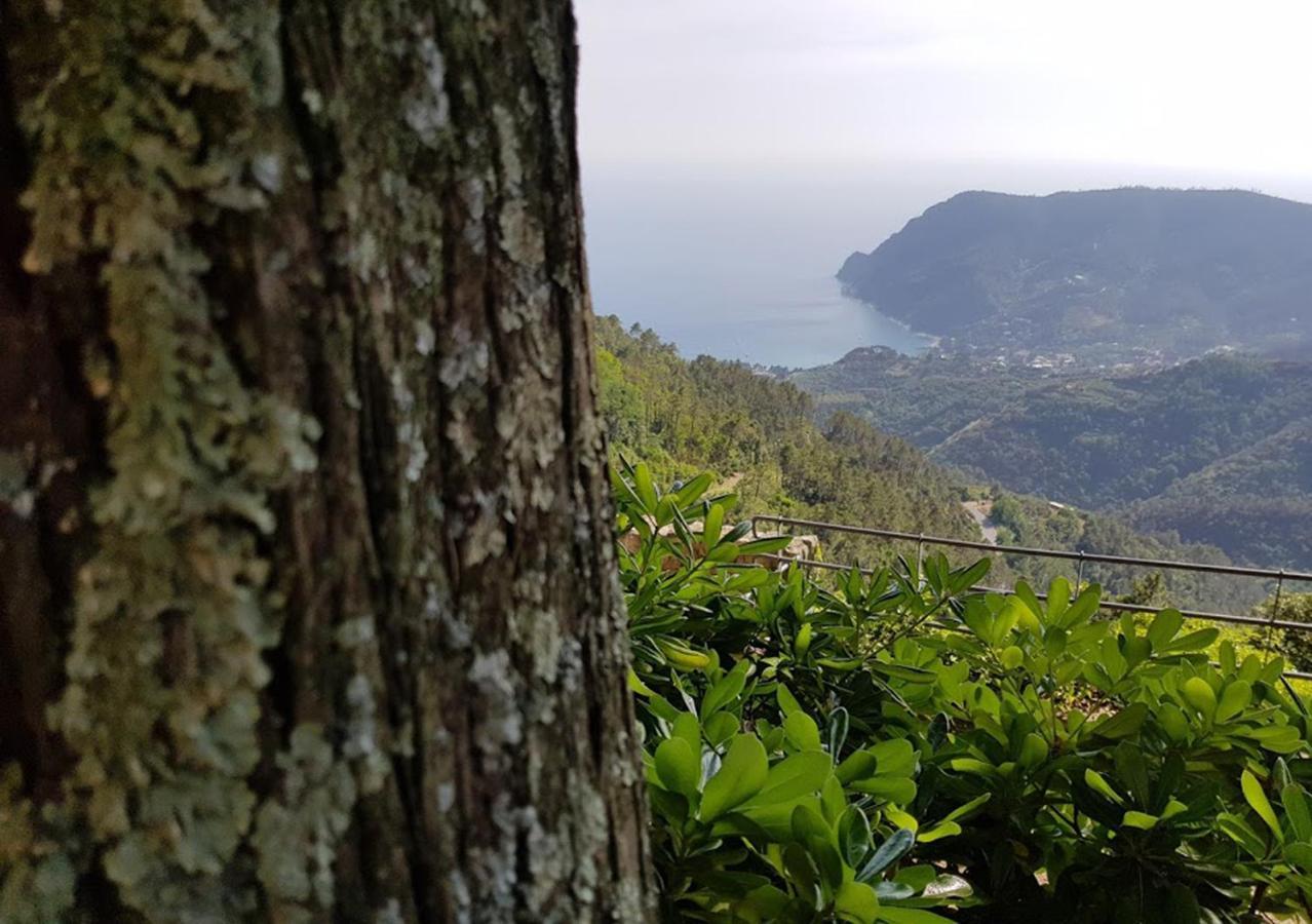 مونتيروسّو ال ماري Santuario Ns Soviore Cinque Terre المظهر الخارجي الصورة